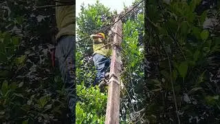 LT Aerial bunched cable overhead lines power fault detection and rectification