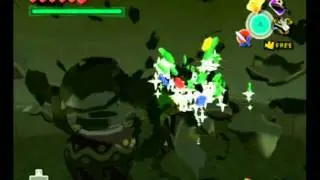 The Legend Of Zelda The Wind Waker Private Oasis secrets