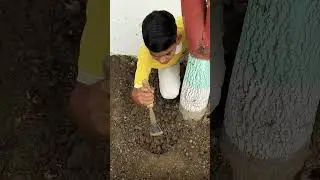 Agriculture activity chapter-3 class 8th geography #cbse #shorts #shortsvideo #viralshorts