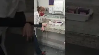 Colora&ccedil;&atilde;o pan&oacute;tico r&aacute;pido