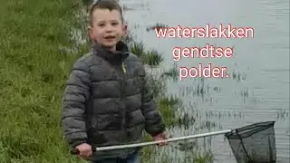 Waterslakken vangen in de gendtse polder.