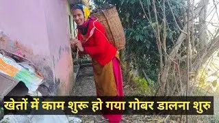 खेतों में काम शुरू हो गया है  आज डाला गोबर पहाड़ी जीवन #poonam #उत्तराखंड#देवभूमि#केदारनाथ #पूनम 