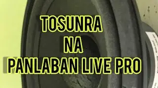 Tosunra 5000 watts 4 ohms