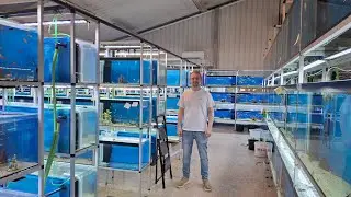 Kungälvs Akvarium Fredagsklippet V.47 (Smygöppning i den nya lokalen V48 24 november)