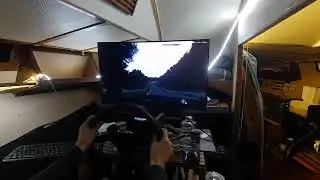 beamng fixed driver camera view