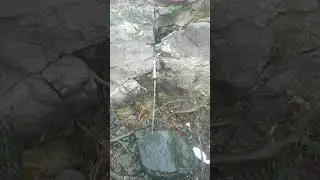 Origin of a Perennial Stream in Mhow Forests Apr 16, 2021