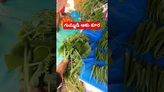 Pumpkin leaf curry || Araku girijana Santa || tribal market in Andhra Pradesh