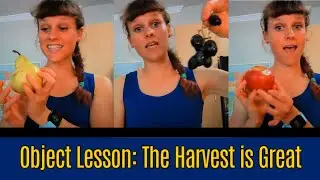 Children's Message: Harvest Disciples (Matthew 9:35-10:11) Object Lesson on Evangelism