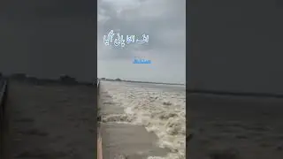 heavy flood in Sindh Pakistan#2022 #shorts #pakistan #barish