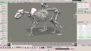 cmiVFX Releases New Softimage Anatomy of Motion Animation