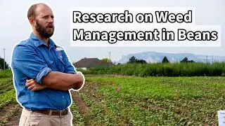 Interviewing a Weed Management Researcher in Nebraska - Dr. Nevin Lawrence on Palmer Amaranth & More
