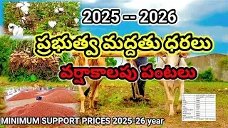 2025-2026 కనీస మద్దతు వర్షాకాలం ధరలు minimum support prices rates to farmers   cotton onion redgram 