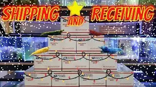 Buying or Shipping Shrimp in the Winter