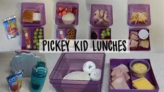 SCHOOL LUNCH IDEAS FOR PICKY EATERS