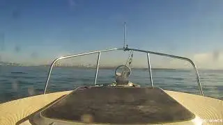 17th Annual Catalina Cruise Aug 2022