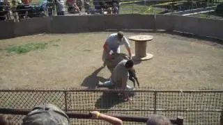Wild Hog Catching Festival in Sabinal, TX