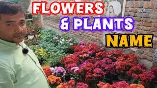 Nursery Visit | All Type of Flowers Name | Indoor & Outdoor Plants Name | Adi Jana Nursery | Bankura