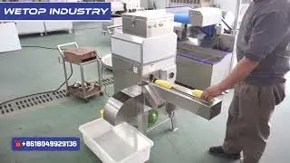 01 Automatic Corn Thresher machine