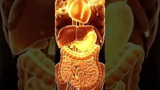 Do You Know the Health Benefits of Almonds  UK Nutrition Expert Explains