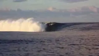 REEF REPORT