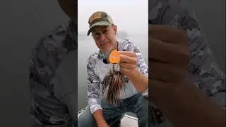 Musky Frenzy IC9 Bucktail