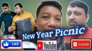 New Year Picnic 