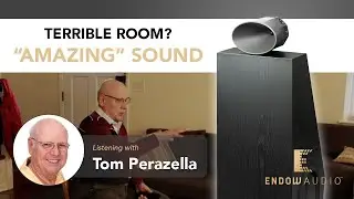 Speaker Judge Tom Perazella REACTS to the Bravura Sound System!  - Endow Audio