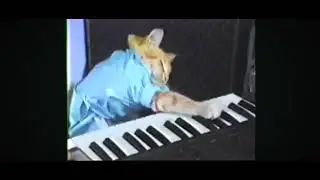 1984 Keyboard Cat