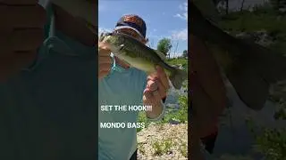 WATCH US CATCH BASS #liveaction #whammy #fishing #bassfishing #monster #usa #iowa #water #fish #cool