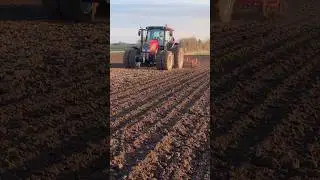 Valtra n82 with a Homemade harrow #harrowing #dk #valtra #tractor #danishfarming