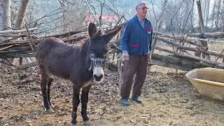 Nomadic Life Style | Cooking in grandma's warm kitchen | Rural life in Turkey