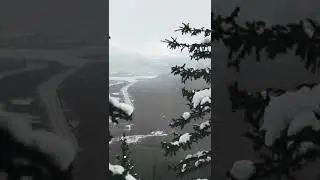 The BEST Christmas Hike