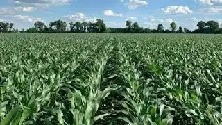The Jas Farm