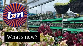 В B&M появились новые растения. Подробный обзор растений в садовом центре. #выгодныепокупки #раст...