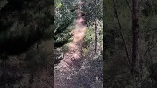 Mt Lloyd hill climb TAS, kxf450! 1st attempt for 2023!