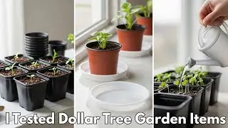 I Tested Dollar Tree Garden Items for 2026 Only These Are Worth Buying