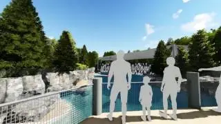 Artist Rendering of the New Seal and Sea Lion Exhibit
