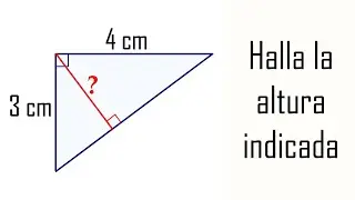 HALLA LA ALTURA INDICADA DEL TRIÁNGULO RECTÁNGULO. Geometría Básica