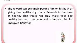 Healthy Dog Treats