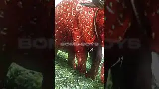 AND ON AND ONE WELL GO ON 🍓🐘🔥🔥🗣️🗣️