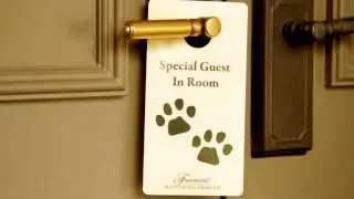 Posh Paws at the Fairmont Scottsdale Princess