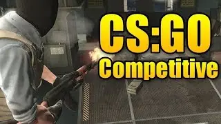 CS:GO (LTU)