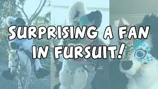 Surprising a fan in fursuit for her birthday!
