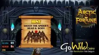 Arctic Fortune online slot [GoWild Casino]