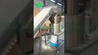 Jinan shengrun machinery puffed panko bread crumb production line in China