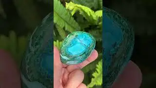 Polished Malacolla Free Form x 1 From Kulukuluku, Congo