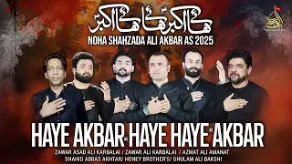 Haye Akbar Haye Haye Akbar - Vichora Bibi Sughra Sa | Noha 2025 | Muharram 1447