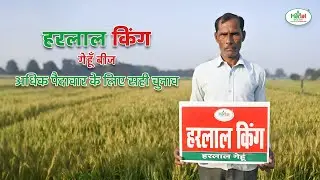 हरलाल किंग - आपके खेत की समृद्धि का साथी || हरलाल सीड्स