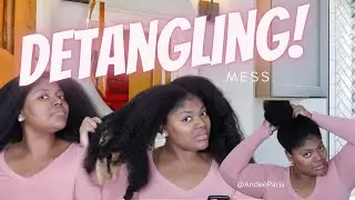 2 Months 0 Detangling...Detangling | Andee Paris