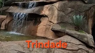 CapiGol na Estrada 7 - Trindade